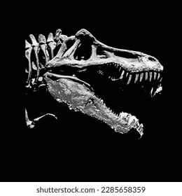wild t-rex dinosaur illustrations vector
