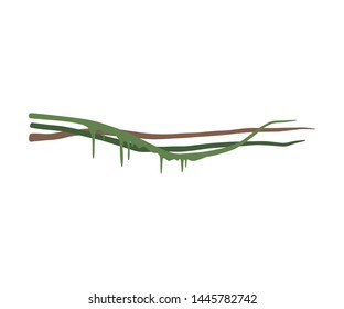 Wild Tropical Green Liana Stems with Leaves, Jungle Plant Decorative Element, Rainforest Flora Vector Illustration