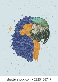 The wild tropical macaw parrot hand drawn illustration