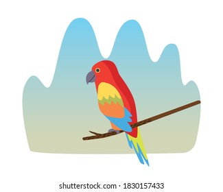 wild tropical parrot bird nature icon vector illustration design