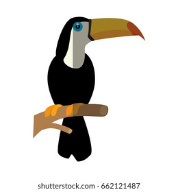 Wild tucan cartoon