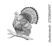 Wild Turkey Bird engraving icon flat vector design.
