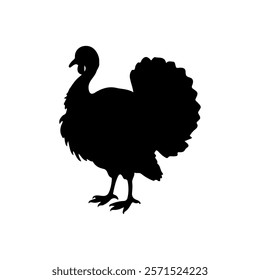 Wild turkey bird silhouette vector illustration design.