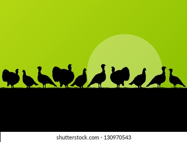 Wild Turkey Hunting Season Silhouettes In Countryside Landscape Illustration Background Vector