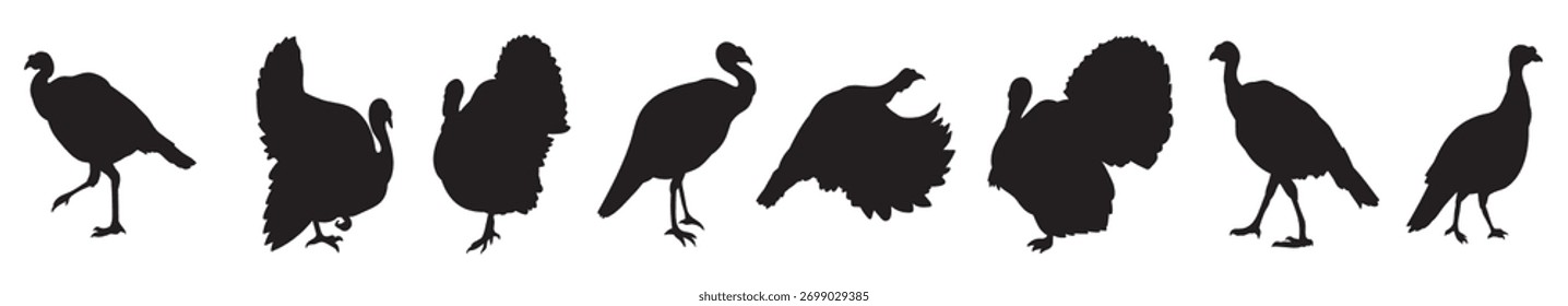 Wildtruthühner-Symbole, Vektorgrafik