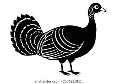 Wild Turkey on Vector Illustration