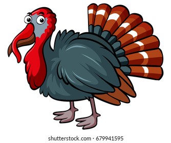 Wild turkey on white background illustration