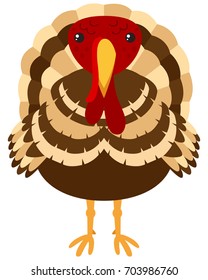 Wild turkey on white background illustration