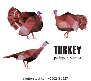 Wild turkey polygonal abstract vector. Low poly illustration vector collection of turkey. Abstract logo Set of Wild Turkey Bird