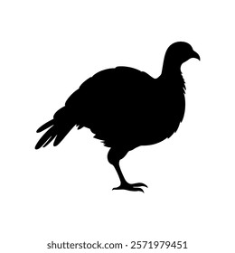 Wild turkey silhouette vector illustration design on white background.