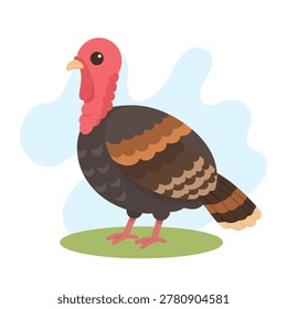 Wild turkey standing on green grass in cute flat vector style, Meleagris gallopavo feathers glowing warmly, Wild turkey woodland icon art