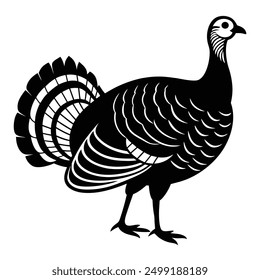 Wild Turkey Vector Illustration - Cartoon, Clipart, Line Art Design