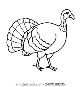 Wild Turkey Vector Illustration - Cartoon, Clipart, Line Art Design