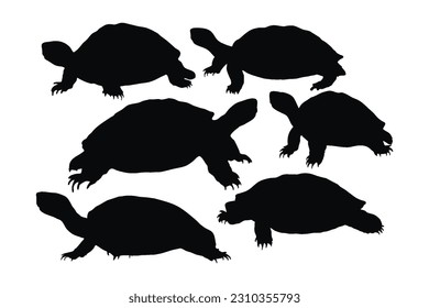 Wild turtle standing, silhouettes on a white background. Sea creatures and reptiles walking in different positions. Tortoise full body silhouette collection. Wild turtle silhouette bundle.