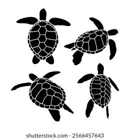 Wild turtle standing silhouettes on a white background Sea creatures and reptiles walking in different positions