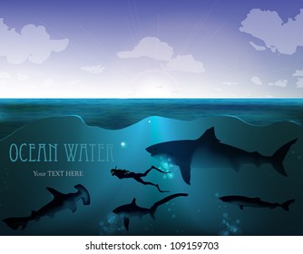 wild underwater world. shark with a diver under water