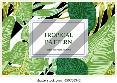 Wild vector banner with tropical plants in a trend. stylish, vector, plant, exotic illustration vector banner with tropical plants in a trend. stylish, vector, plant, exotic  trendy pattern.