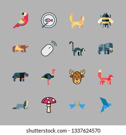 wild vector icon set