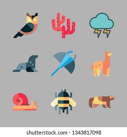 wild vector icon set