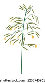 Wild vegetation and greenery of flora in spring or summer season. Isolate icon of wildflower grass, blossom and blooming. Decorative fresh botany and green organic plants. Vector in flat style