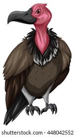 Buitre silvestre en la ilustración de fondo blanco