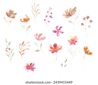 Wild Watercolor Flower Set Illustration