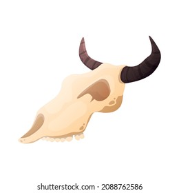 Wild west cowboy composition with isolated image of animal skull of coyote on blank background vector illustration