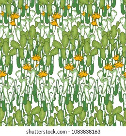 Wild west seamless background. Cactus, peyote, buffalo skull. Pattern.