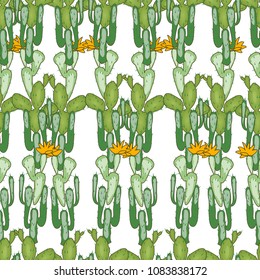 Wild west seamless background. Cactus, peyote, buffalo skull. Pattern.