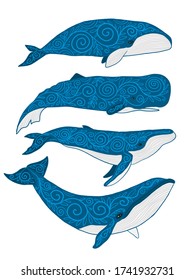 Wild Whale with Ethnic Ornaments. Vector illustration