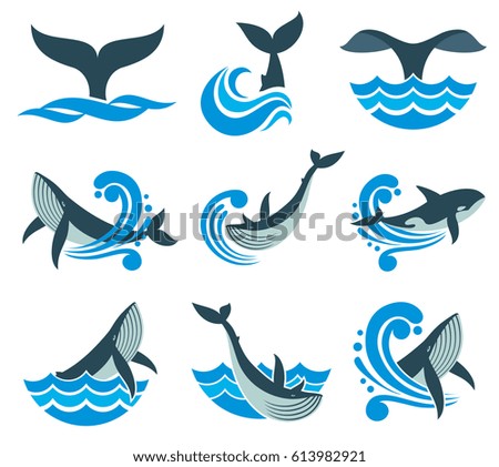 Wild whale in sea waves and water splashes vector icons. Animal wildlife whale in blue sea, illustration of marine animal