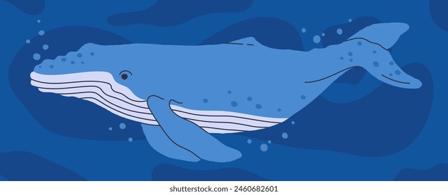 Ballena salvaje. Animales oceánicos submarinos, fauna acuática, naturaleza oceánica mamíferos animales Ilustración vectorial plana. Ballena azul dibujada a mano