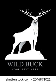 wild white buck with the beautiful horn standing on the top of the hill, wild stag with the  long horn