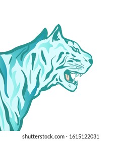 Wild white tiger head hand drawn illustration. Exotic wild cat face side view, dangerous tropical predator closeup. Zoo mascot, logotype design element. Dangerous animal, african jungle wildlife