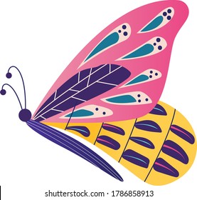 Wild wildlife forest butterfly isolated on white, icon cartoon vector illustration. Living nature animal moth insect. Outdoor silkworm up close, beautiful woodland flight papillon life.