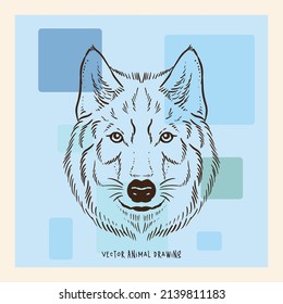 Wild Wolf Animal Portrait Vector Art Drawing Pastel Abstract Background