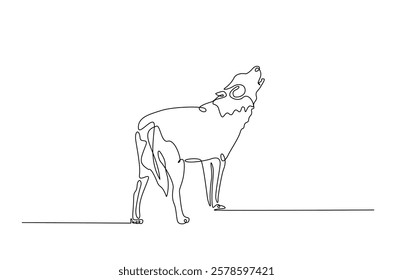 Wild wolf in continuous one line drawing. Single line art draw of Husky. Editable vector.