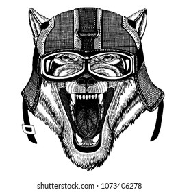 Wild wolf, dog. Hipster animal wearing motorycle helmet. Image for kindergarten children clothing, kids. T-shirt, tattoo, emblem, badge, logo, patch