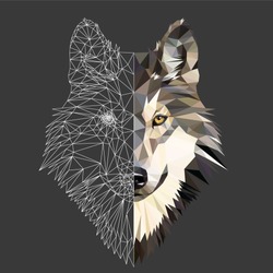 Wild Wolf Face On Grey Background, Low Poly Triangular And Wireframe Vector Illustration EPS 10 Isolated.  Polygonal Style Trendy Modern Logo Design. Suitable For Printing On A T-shirt.