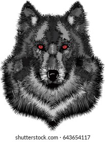 Wild wolf head / Vector illustration of timber wolf