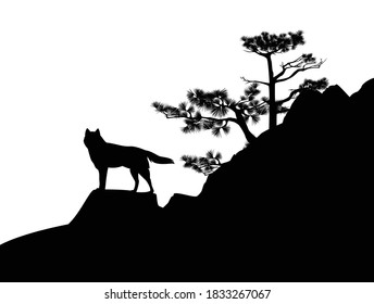wild wolf standing at rock cliff with conifer tree - wilderness scene black and white vector silhouette design