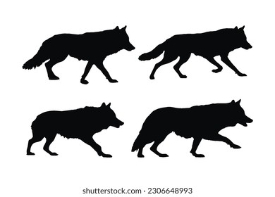 Wild wolf vector design on a white background. Wolves walking silhouette bundle design. Wild wolves walking silhouette set vector. Big predator standing in different positions silhouette collection.