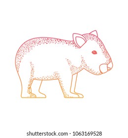 wild wombat australian creature