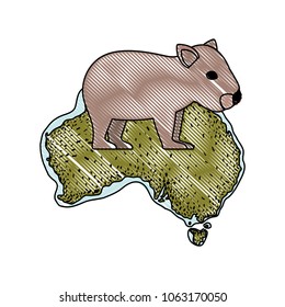 wild wombat creature over australian map