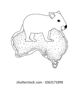 wild wombat creature over australian map