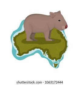 wild wombat creature over australian map