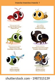 Wild world insects cartoons, cute wild animals in vector with scientific name, and common name in English and Spanish.