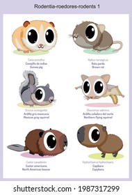 Wild world rodents cartoons, cute wild animals in vector with scientific name, and common name in English and Spanish.