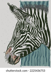 The wild zebra head hand drawn illustration