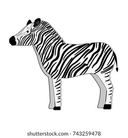 wild zebra isolated icon
